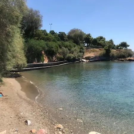 Stylish Steambath, 200mbps Near The Beaches Appartamento Atene
